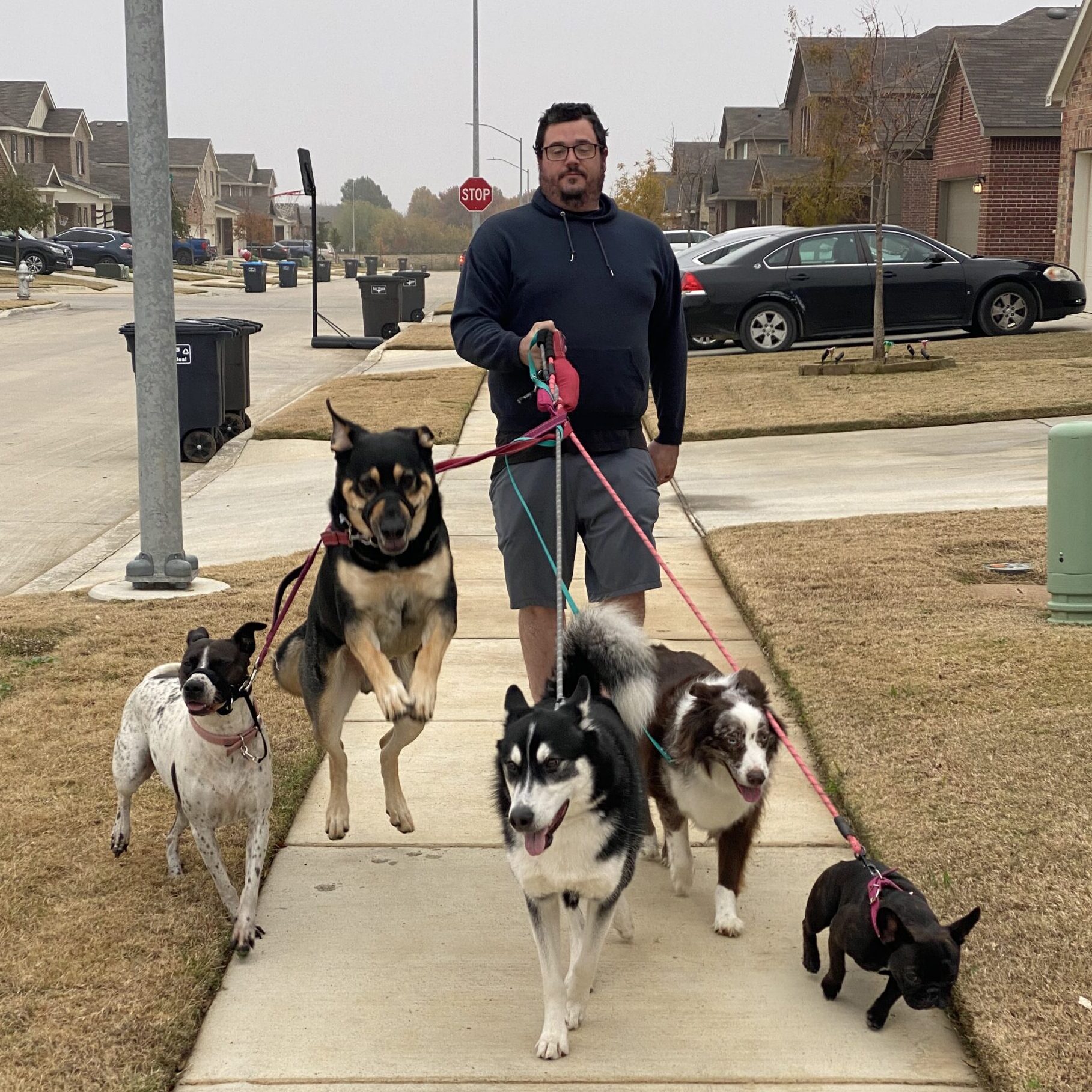 Side Hustles for Animal Lovers - Dog Walking